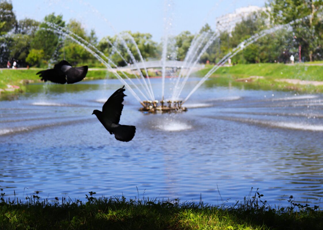Оживили пейзаж с фонтаном. - Василий Палий