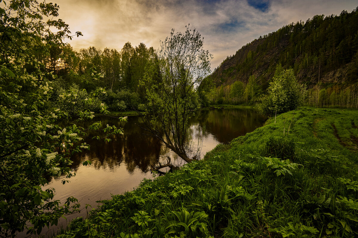 Между вечером и ночью. - Юрий кот Между вечером и ночью. - Юрий кот