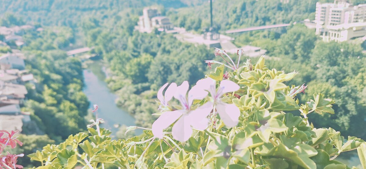 ЛЕ БО 5 (9) - CLOSE WAYS ALL