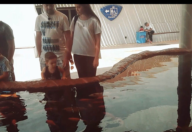 112 (115) - СТРЕН 