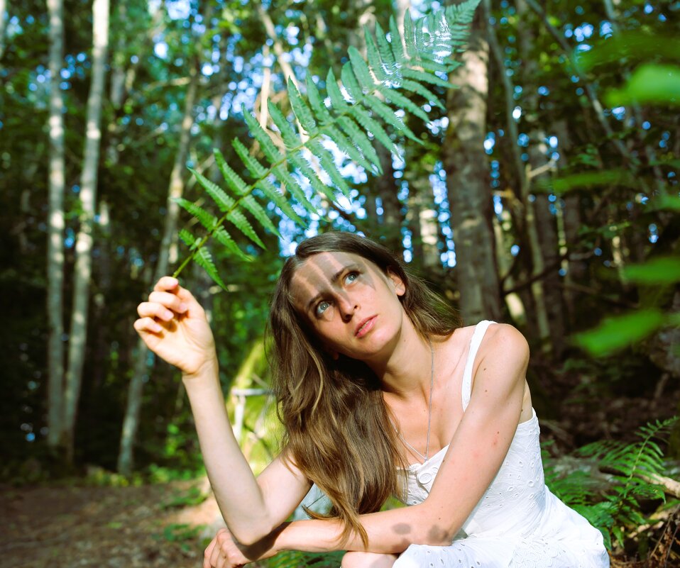 Роскошь  нарядов Природы - liudmila drake