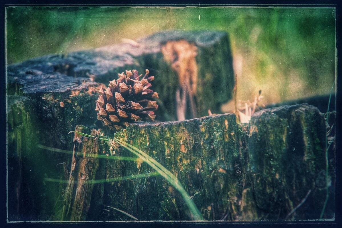 ..... ..... - Руслан 