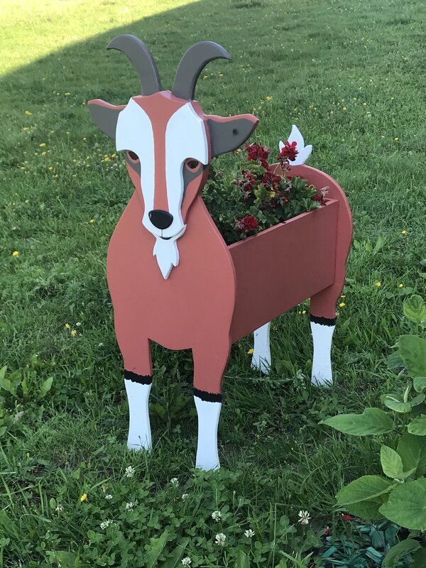 вазон - zavitok * вазон - zavitok *