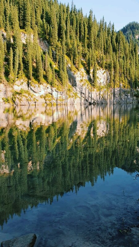 Утро на озере - Георгиевич 