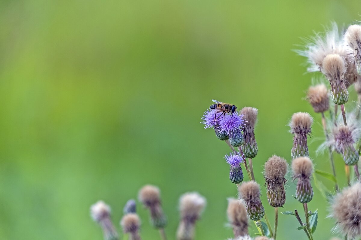 Конец июля - Валерий Иванович
