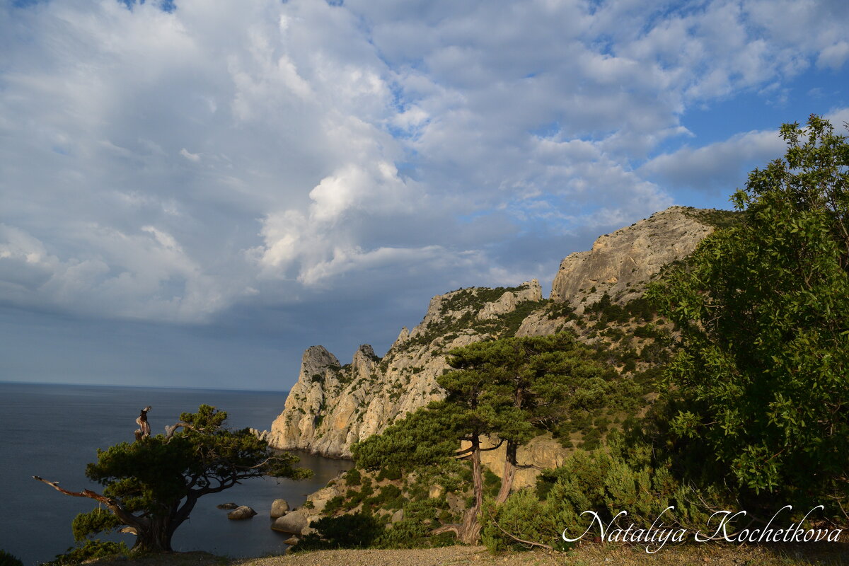 Природа Крыма - Amazing Cosmea Природа Крыма - Amazing Cosmea