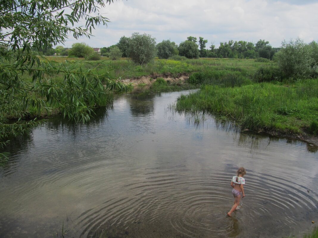 летние забавы - Елена Шаламова летние забавы - Елена Шаламова