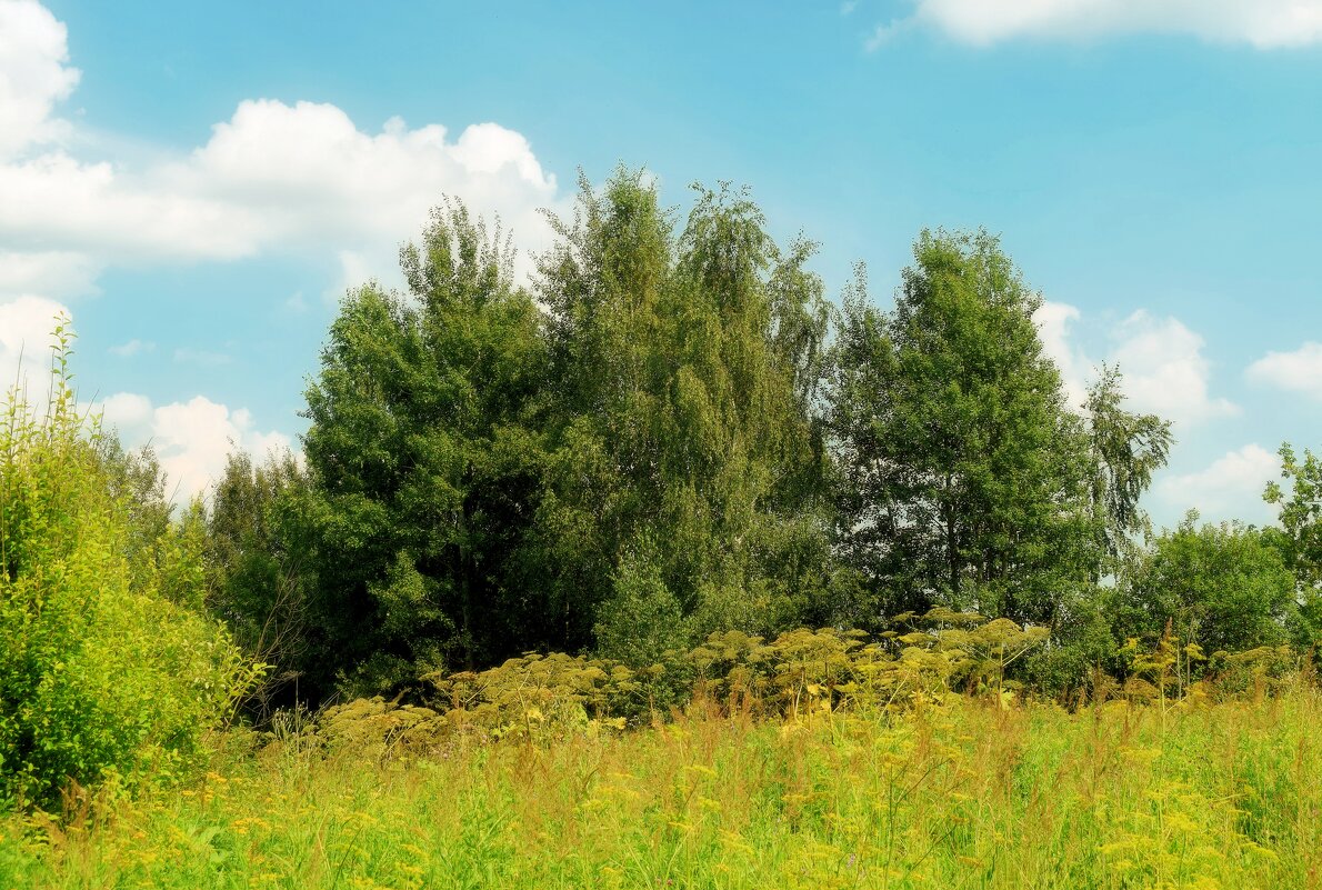 Июльские прогулки. - Татьяна Помогалова Июльские прогулки. - Татьяна Помогалова