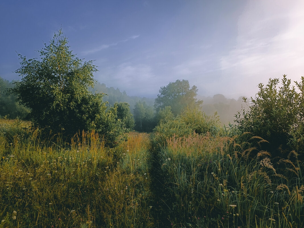 На природе - Sergei Vikulov