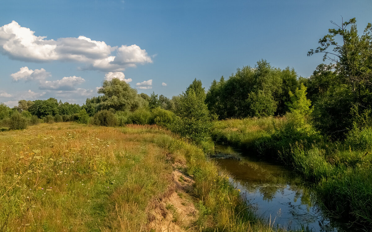 Жара июль 6 - Андрей Дворников