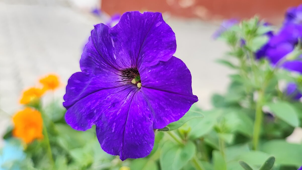 ,,, - Сергей Тимоновский ,,, - Сергей Тимоновский