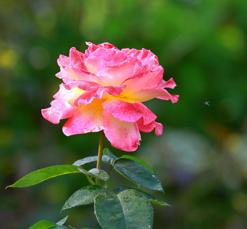 про июль - Andrey Bragin 