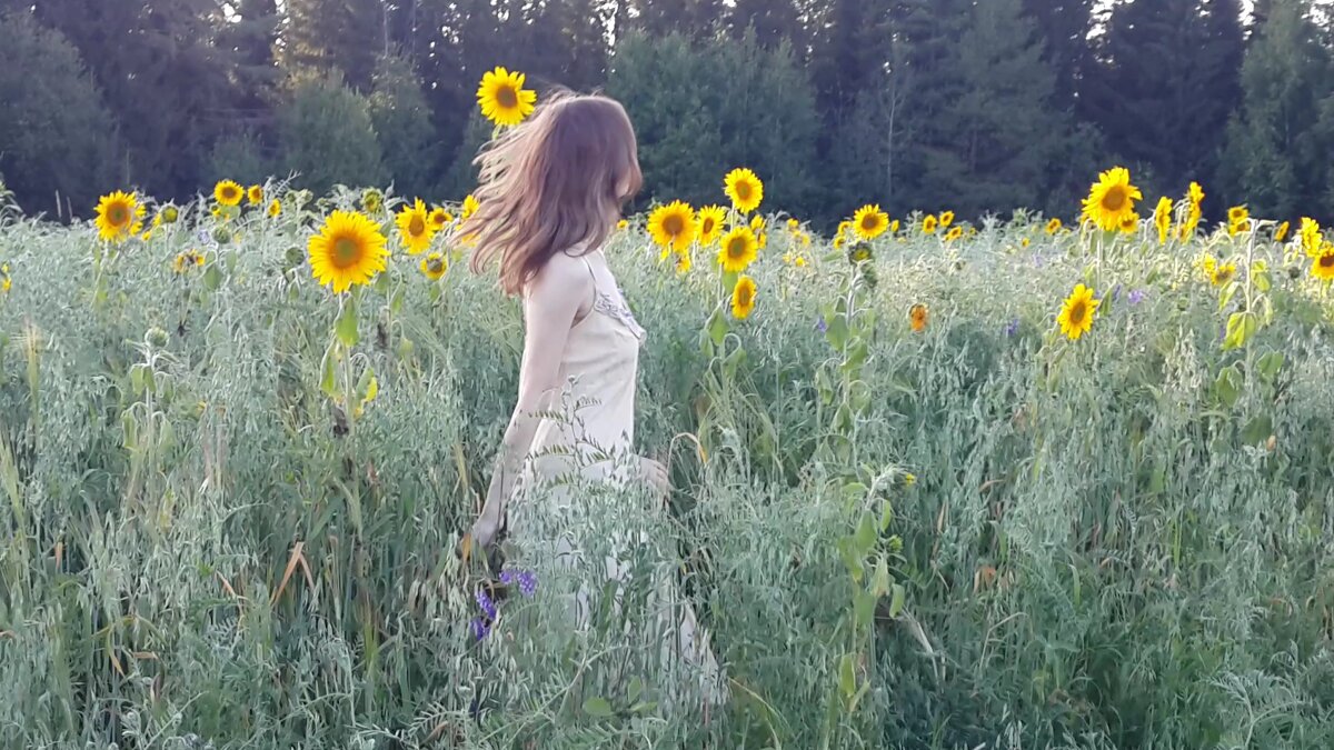 Солнечного Счастья Вам, друзья! - Светлана Лапка Солнечного Счастья Вам, друзья! - Светлана Лапка