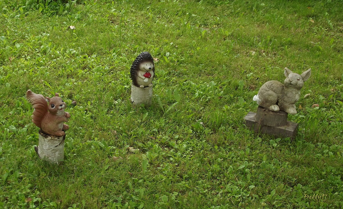 Обитатели сада - Freddy 97