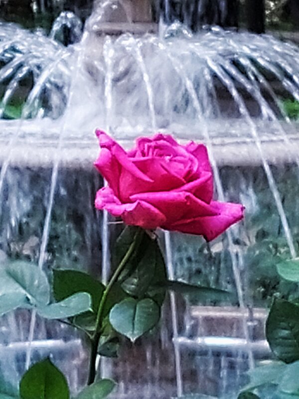 жаркое лето 25-го - Сергей Б.