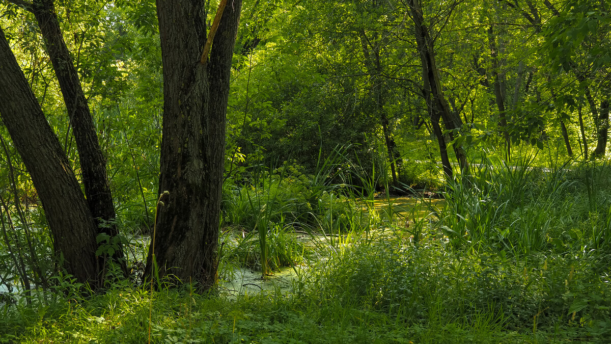 ***** - юрий поляков