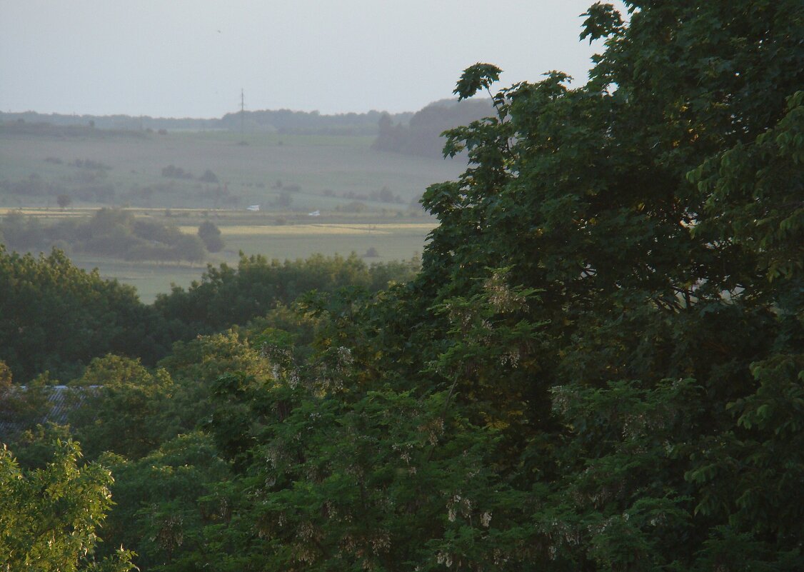 Весна с балкона... - Syntaxist (Светлана)