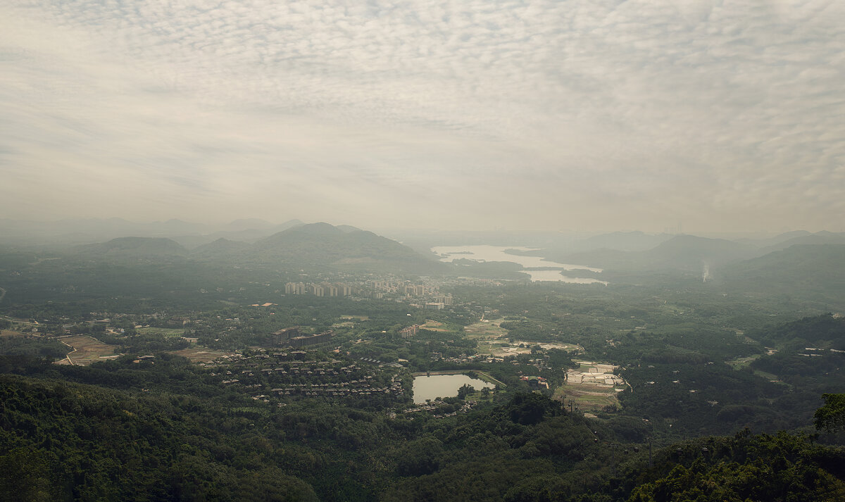 Туман над городом - Лилия .