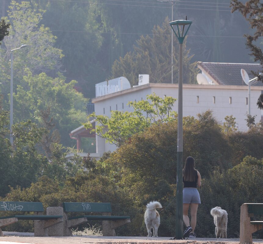 Уторо - Аркадий Басович