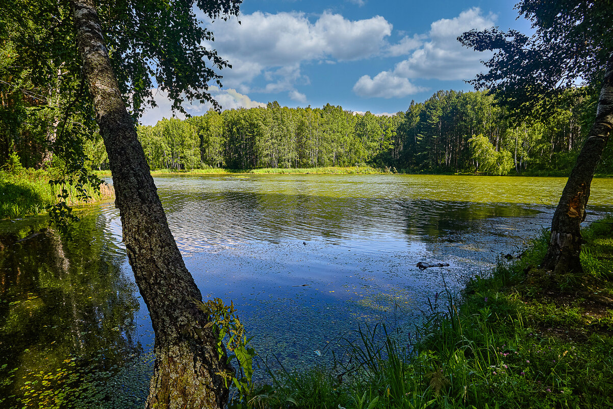 Пруд - Cергей Александров