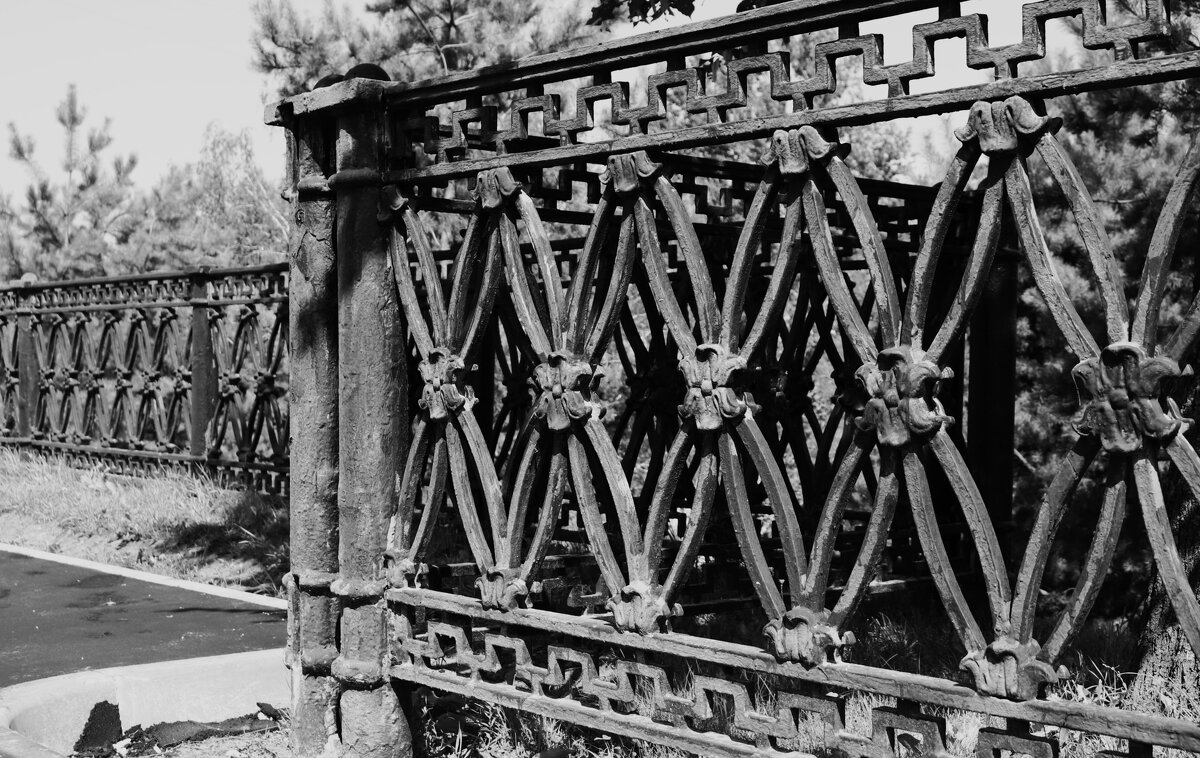 12 - Василий Палий