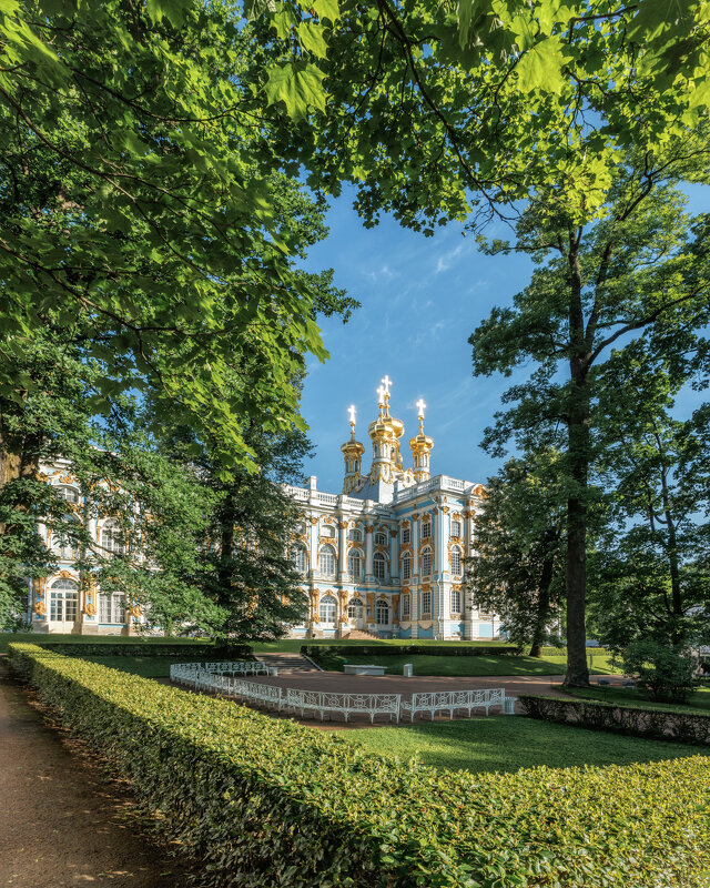 Про Питер - Владимир Колесников