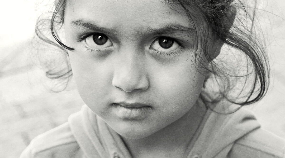 Зрит в корень - СЮ 