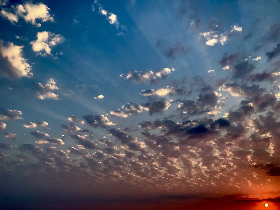 Закаты - Pippa 