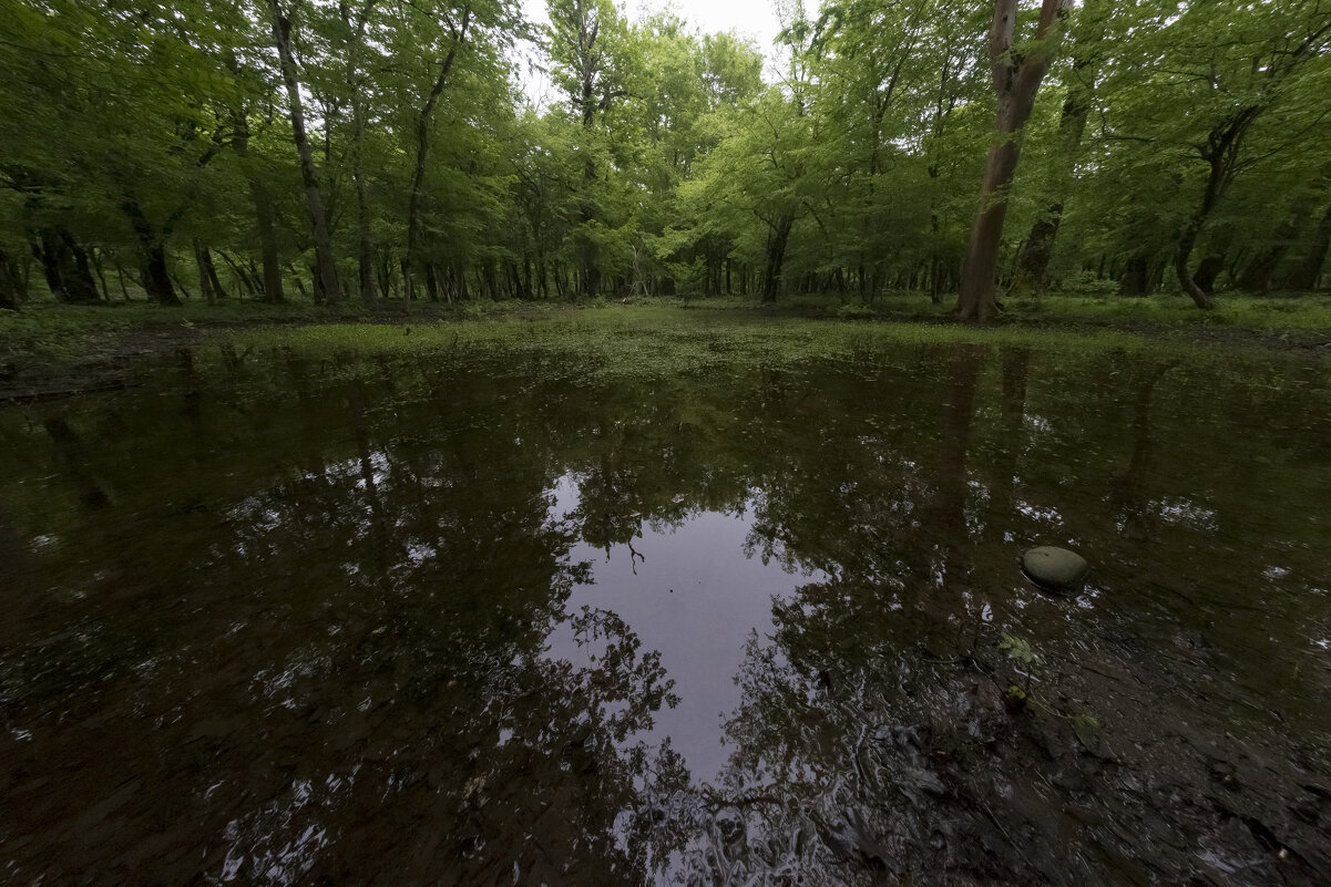 Тихий омут... - Иван К Тихий омут... - Иван К
