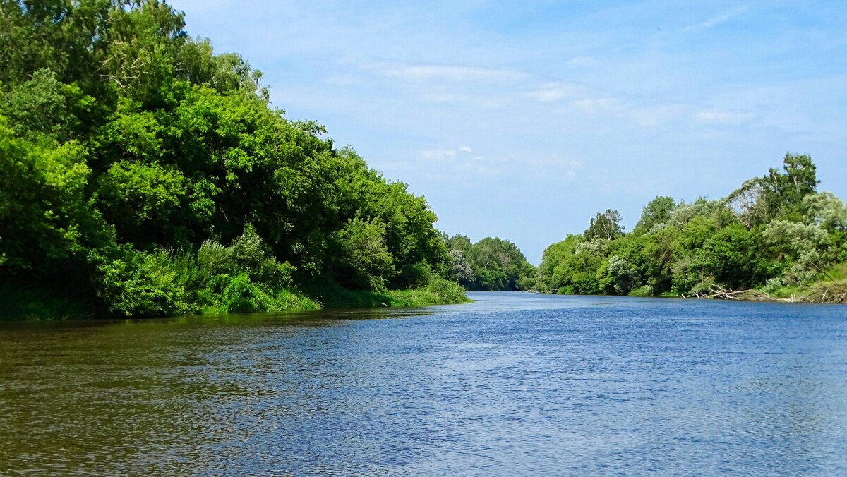Смоленский Днепр (репортаж из поездок по области). - Милешкин Владимир Алексеевич 