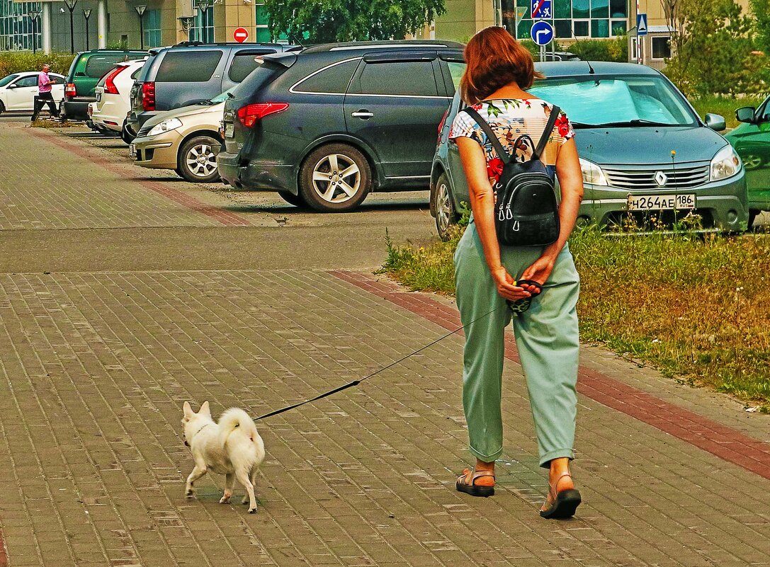 Эх, руки устали от поводка! - Владимир 