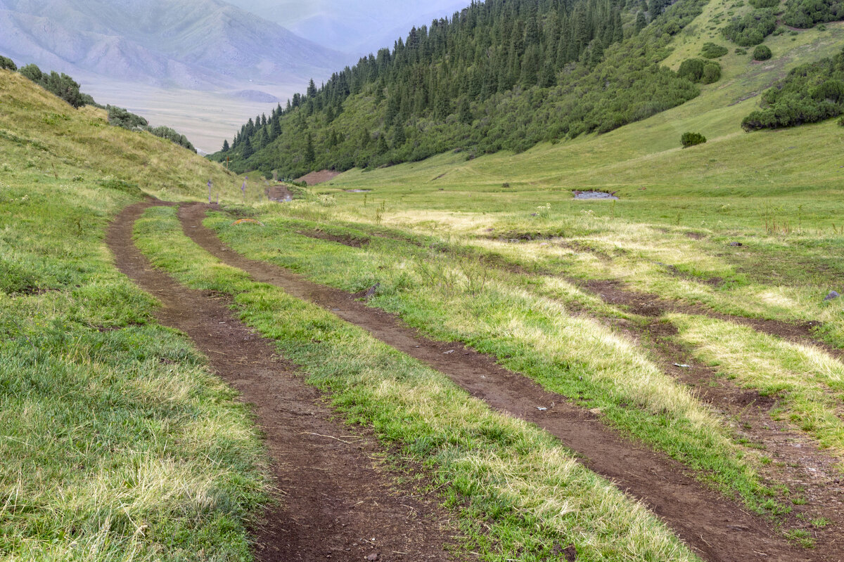 Умытая грозой долина горной речки - LudMila 
