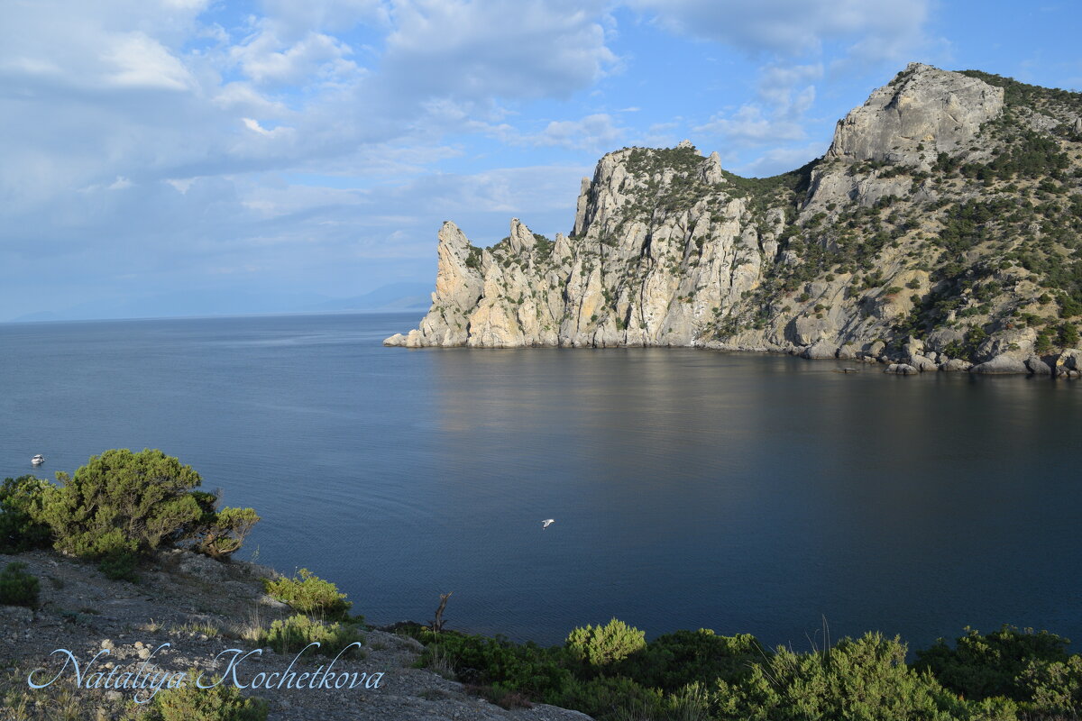 Природа Крыма - Amazing Cosmea