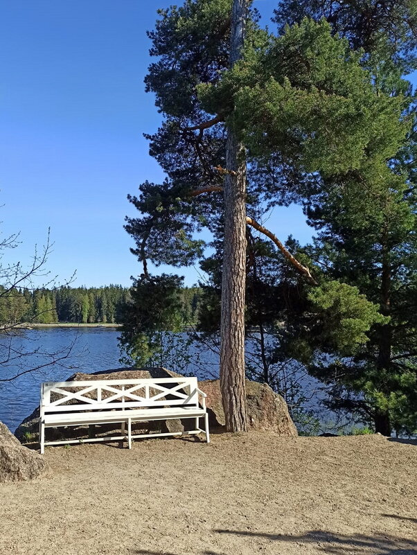 Скальный парк Монрепо в Выборге. - Ольга Довженко