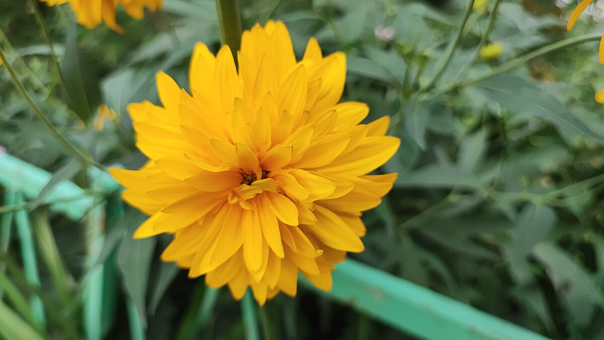 ,,, - Сергей Тимоновский