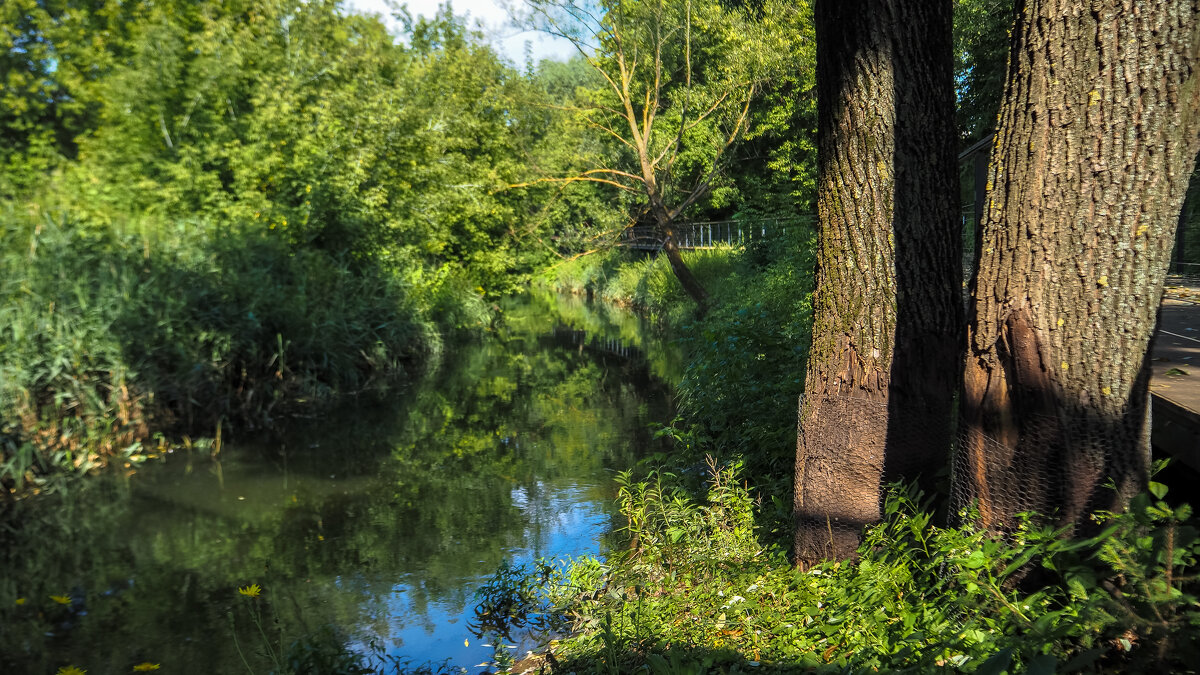 ***** - юрий поляков