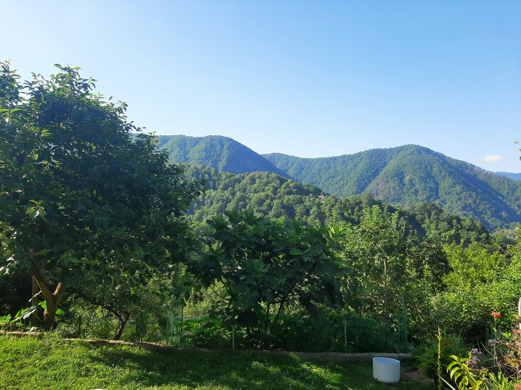 ГОРНЫЙ ПОСЕЛОК - Tata Wolf