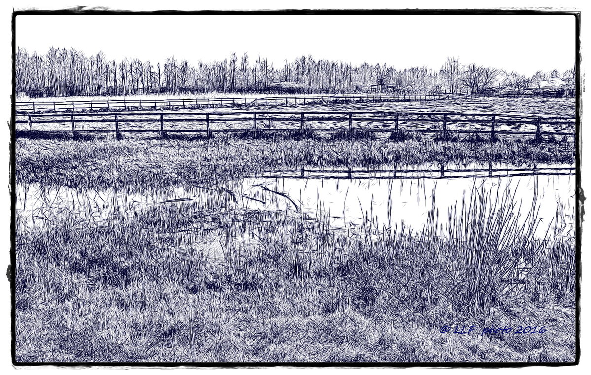 Сиреневый пейзаж - Liudmila LLF Сиреневый пейзаж - Liudmila LLF