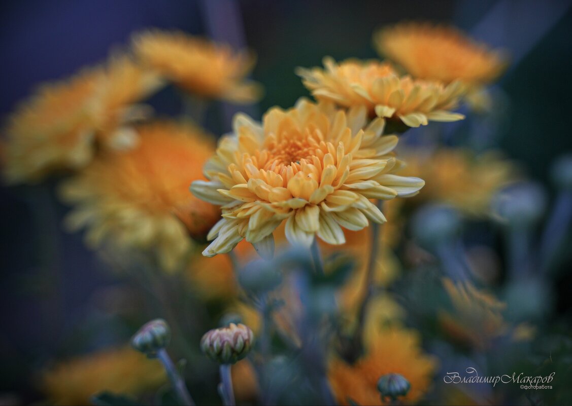 "Когда солнце уже зашло"© - Владимир Макаров "Когда солнце уже зашло"© - Владимир Макаров