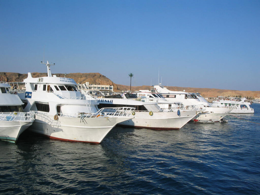 Egypt - Андрей Л. В.