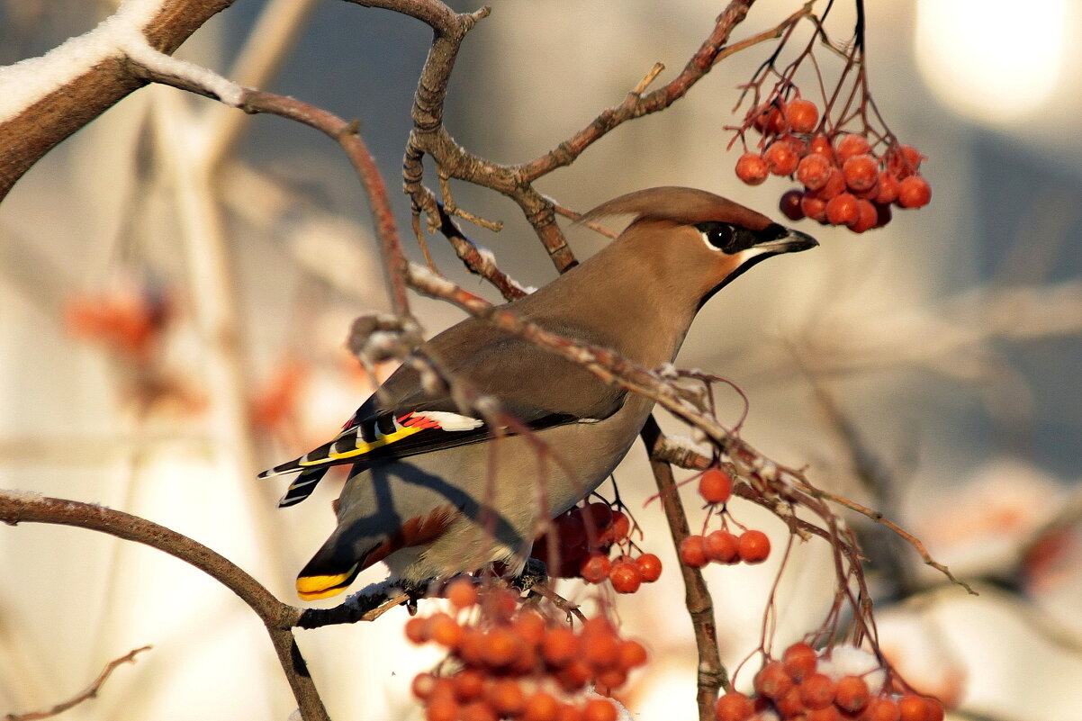 Взгляд - Александр Велигура Взгляд - Александр Велигура