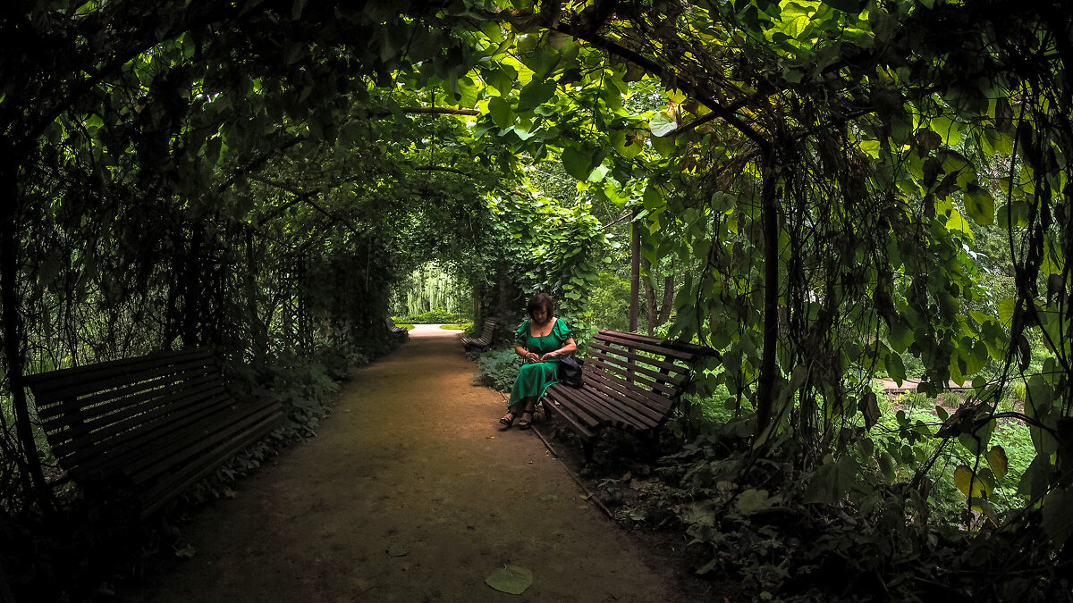 ***** - юрий поляков