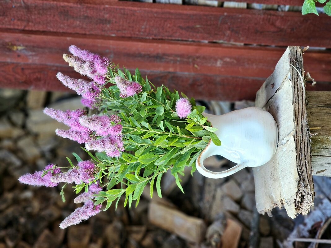 Дачный винтаж - Галина Левина