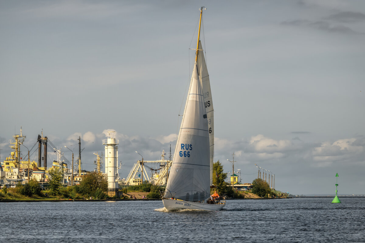 Про Питер - Владимир Колесников