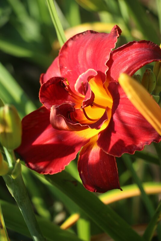 Вот и август - Наталья Герасимова