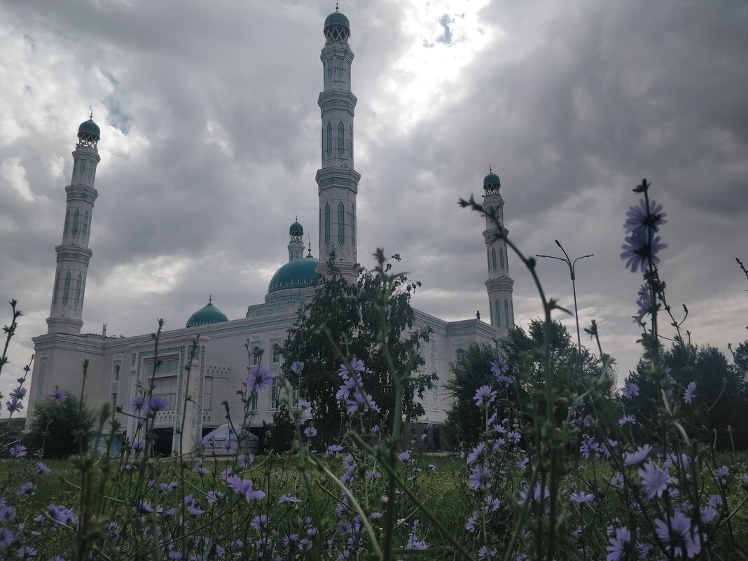 Пасмурно, в Караганде - Андрей Хлопонин