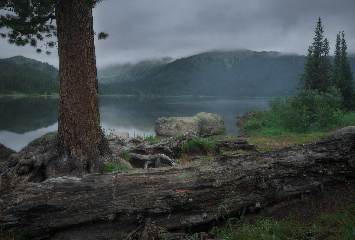 * - Александр Иванов