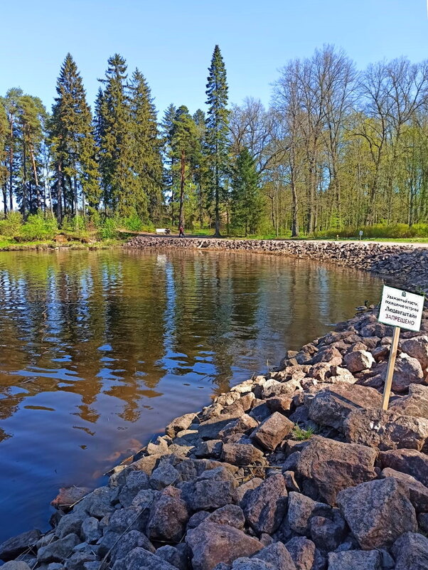 Скальный парк Монрепо в Выборге. - Ольга Довженко