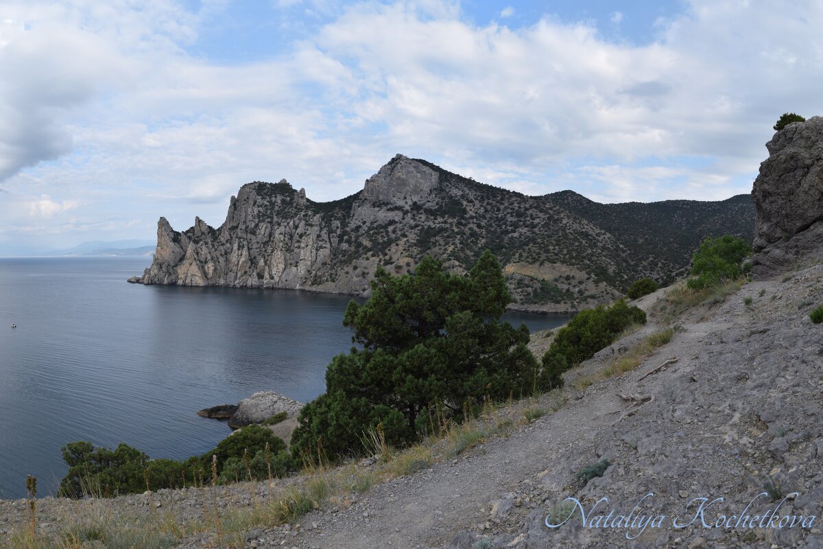 Природа Крыма - Amazing Cosmea