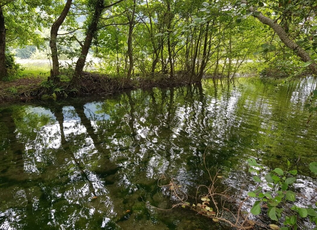 Горная речка - Tata Wolf